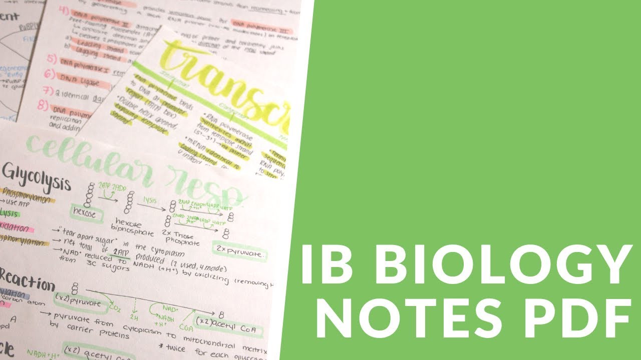 How I Got a 7 in IB HL Biology + Notes PDF (May 2019)