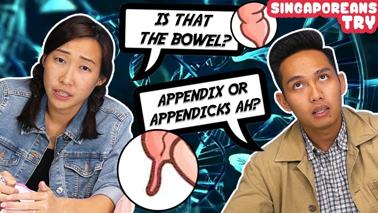 Singaporeans Try: 'O' Level Biology Quiz