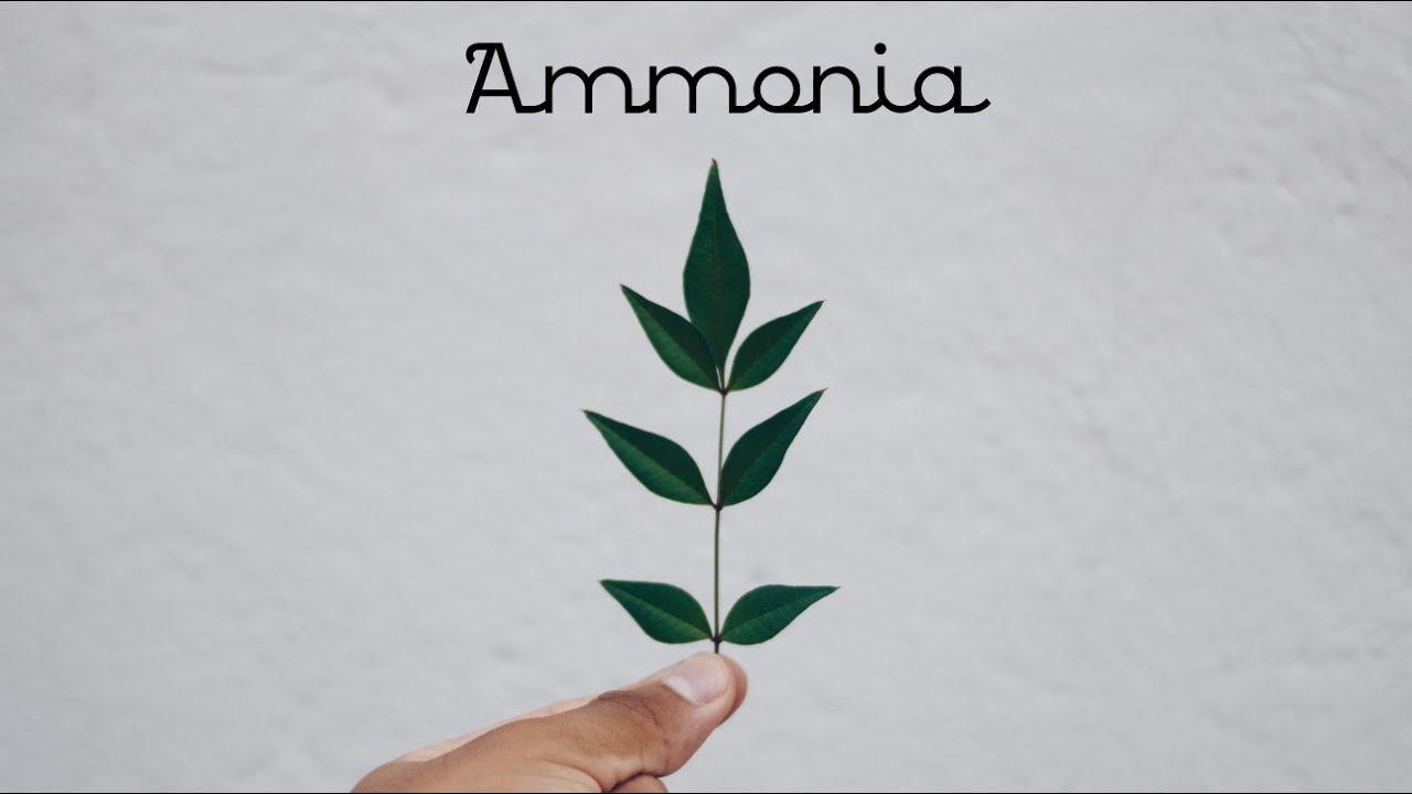 Singapore GCE O levels Pure Chemistry : Ammonia