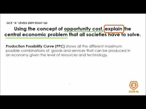 H1 Economics 8819 GCE A Levels