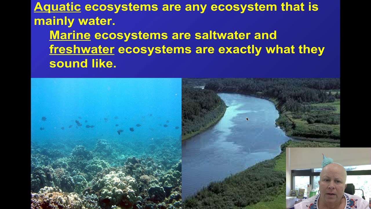 Ecosystems Sec. 4
