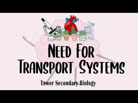 Lower Sec IP Bio: Transport in Living Things - Need For Transport Systems