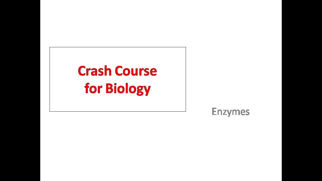 [Crash Course] O and N level Biology (05 Enzymes)