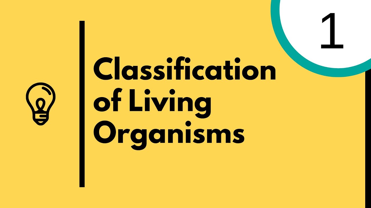 Characteristics Of Living Organisms IGCSE Biology