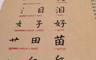 PSLE Chinese Tuition – Great Tips to Improve in Paper 1, 2 & 3 by Top PSLE Home Tutors