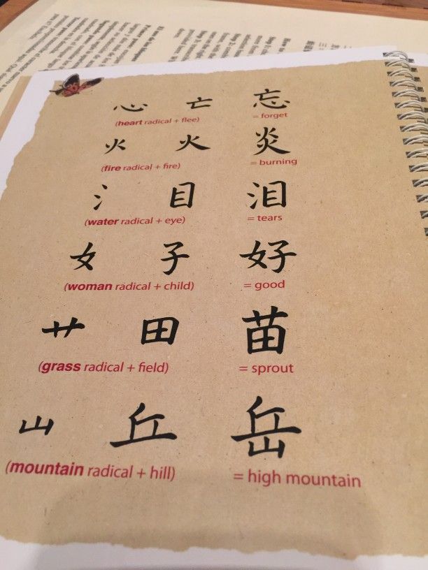 PSLE Chinese Tuition can help students to break down to components of CHinese Words to help make it easier to memorize and understand.