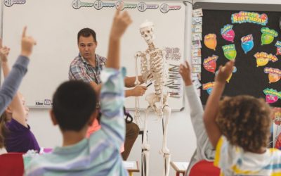 PSLE Science Tutors – 7 Top PSLE Science Tips from Singapore Tutors