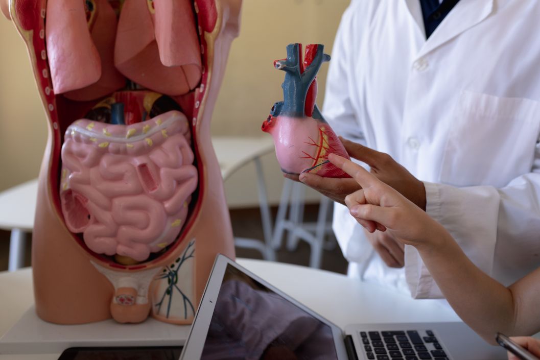 A Level Biology tuition can help you to understand the content better