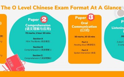 O Level Chinese – The Complete Guide to O Level Chinese in Singapore