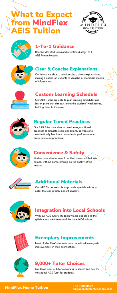 Infographic on What To Expect From MindFlex AEIS Tutors
