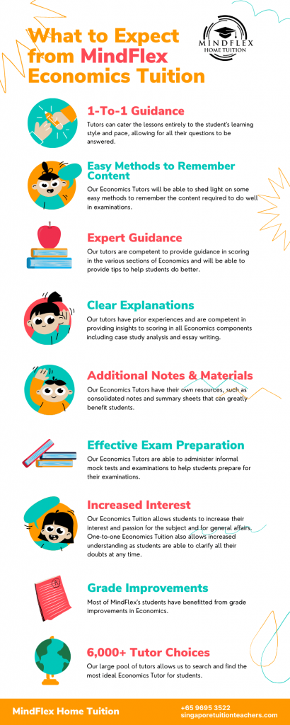 Infographic on What To Expect From MindFlex Economics Tutors
