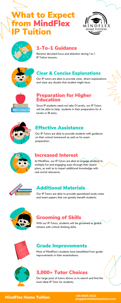 Infographic on What To Expect From MindFlex IP Tutors