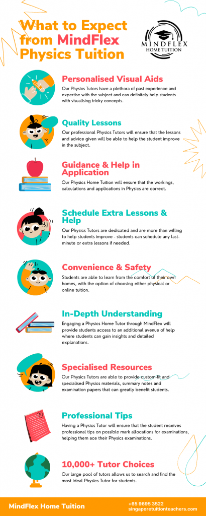 Infographic on What To Expect From MindFlex Physics Tutors