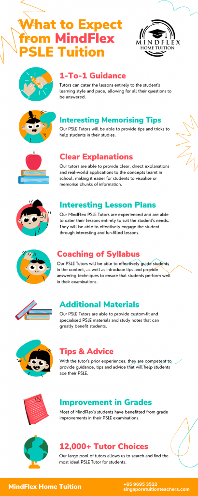 Infographic on What To Expect From MindFlex PSLE Tutors