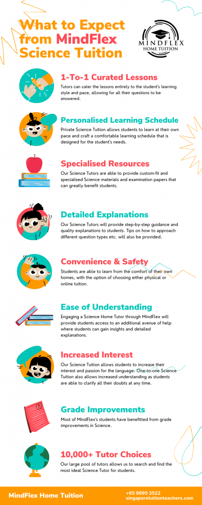 Infographic on What To Expect From MindFlex Science Tutors