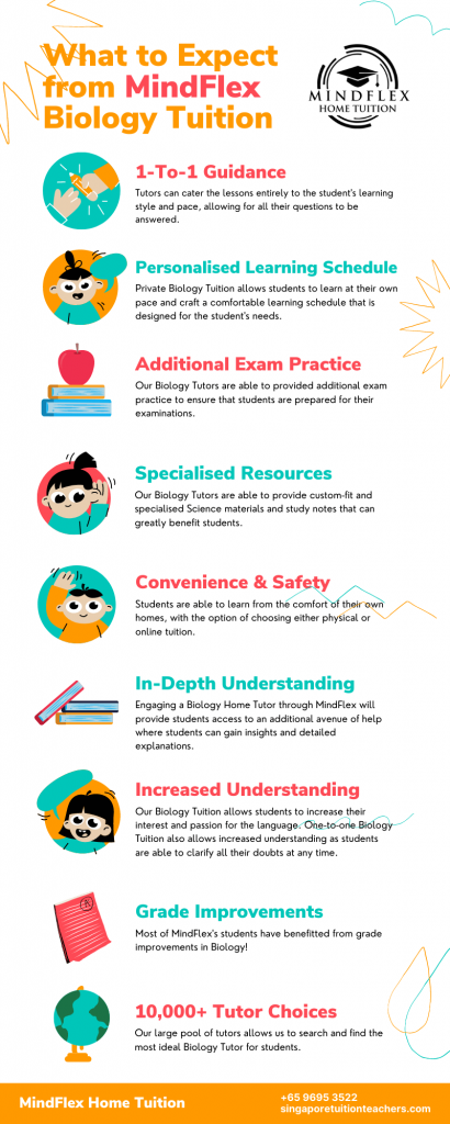 Infographic on What To Expect From MindFlex Biology Tutors