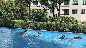 Penguin Swim School place picture
